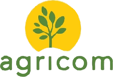 Logo 12